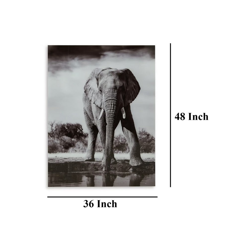 Accent Wall Art Decor, Printed Glass 36x48 Gray and White Elephant -BM332862