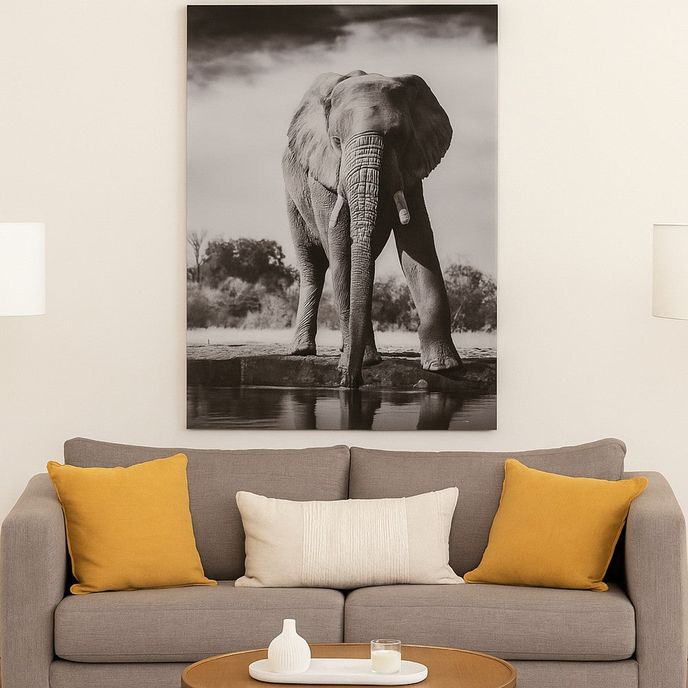 Accent Wall Art Decor, Printed Glass 36x48 Gray and White Elephant -BM332862