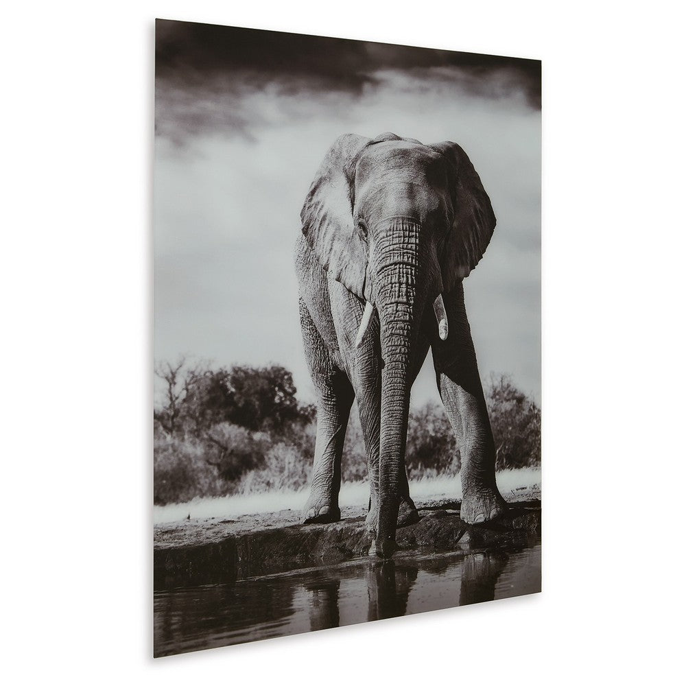 Accent Wall Art Decor, Printed Glass 36x48 Gray and White Elephant -BM332862