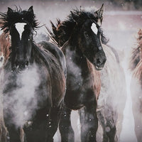 Hose Wall Art, 36x48 Painted Canvas, Brown Black White Running Horses -BM332882