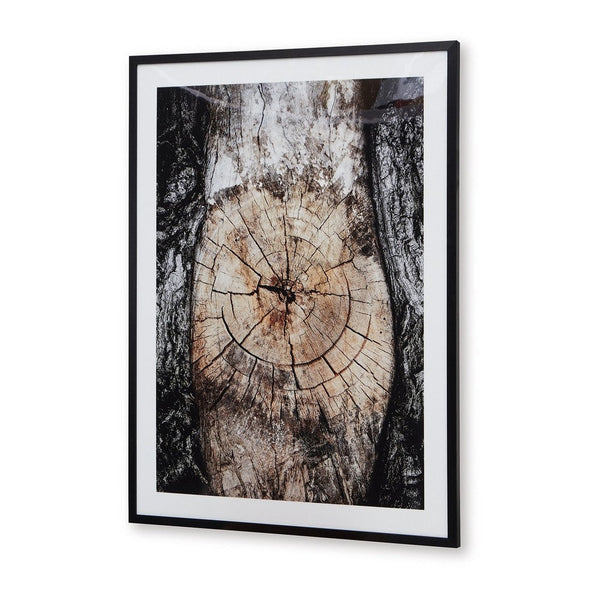 Frere Tree Ring Wall Art, 30x40, Framed Print, Black Brown White -BM332890
