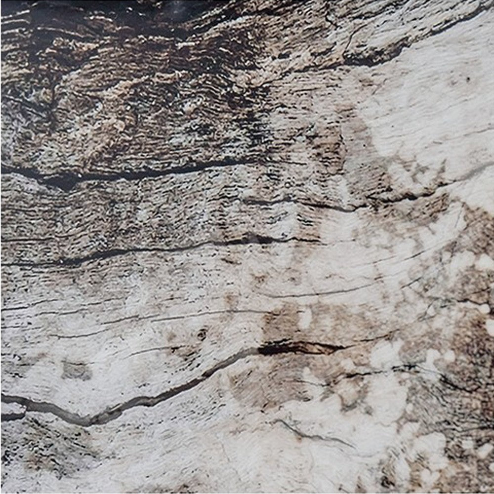 Frere Tree Ring Wall Art, 30x40, Framed Print, Black Brown White -BM332890