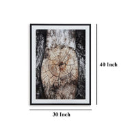 Frere Tree Ring Wall Art, 30x40, Framed Print, Black Brown White -BM332890