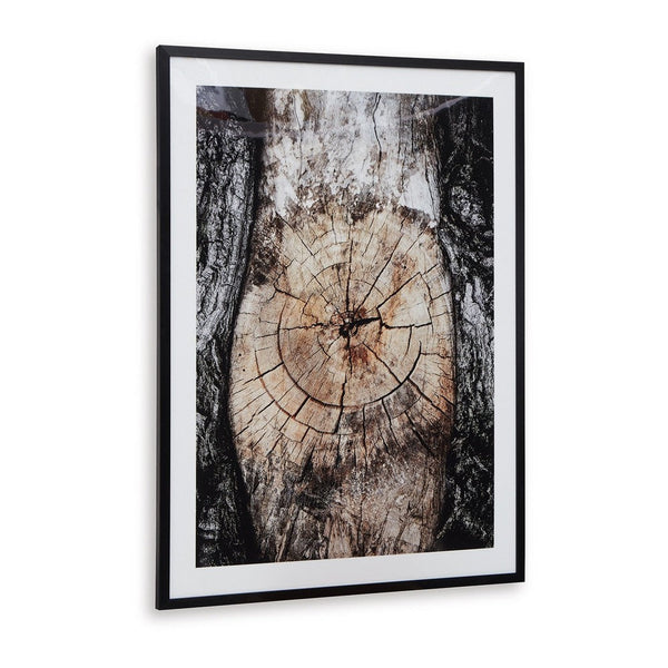 Frere Tree Ring Wall Art, 30x40, Framed Print, Black Brown White -BM332890