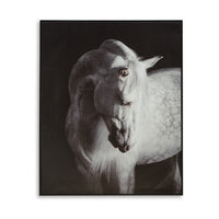 Arc Horse Silhouette Wall Art Painting, 40x50, Black and White Canvas -BM332901