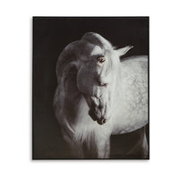 Arc Horse Silhouette Wall Art Painting, 40x50, Black and White Canvas -BM332901