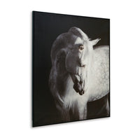 Arc Horse Silhouette Wall Art Painting, 40x50, Black and White Canvas -BM332901