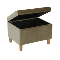 Fero Storage Ottoman, 24in Rectangular Hinged Lid, Sage Green Velvet -BM334087