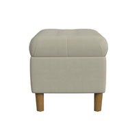 Sol Storage Bench Ottoman, Tan Beige Velvet, Brown, 40 Inch -BM334207