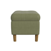 Sol Storage Bench Ottoman, Light Sage Green Velvet, Brown, 40 Inch -BM334209