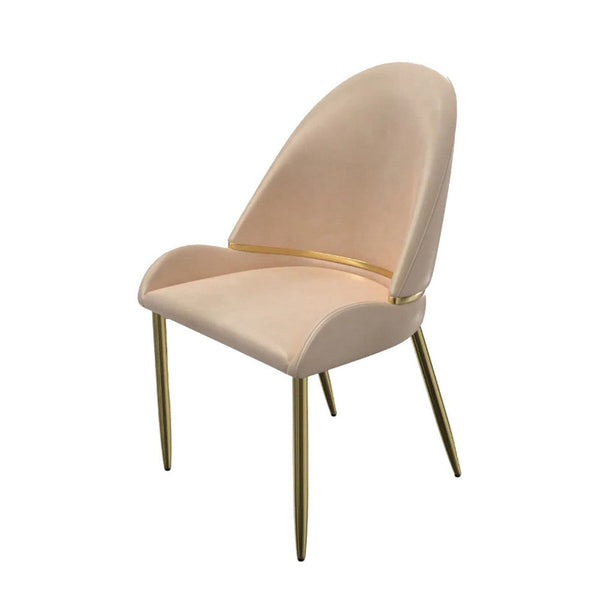 Mior Dining Chair Set of 2, Champagne Faux Leather, Gold Metal Accents -BM334675