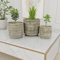 Zeri 3pc Planter Set, Ribbed Grooved Gray Terracotta, 8,10,12 Inch -BM334796