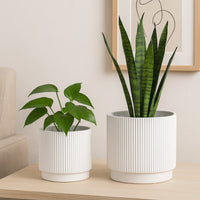 Modern Planter Bowl Set of 2, Ribbed Edges, Serene White Terracotta -BM334821