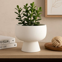 Accent Bowl Planter, Round Pedestal Base, Modern White Ceramic 12 Inch -BM334834