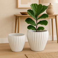 Accent Bowl Planter Set of 2, Ribbed Edges, White Terracotta, 14, 11 -BM334842