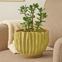 Esam Decorative Planter, Textured Ceramic, 19 Inch Yellowish Green -BM334887