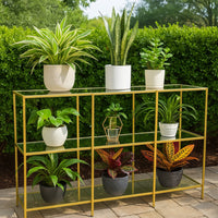 Woly Plant Stand Rack, 2 Glass Shelves, 59 Inch Industrial Gold Metal -BM334941