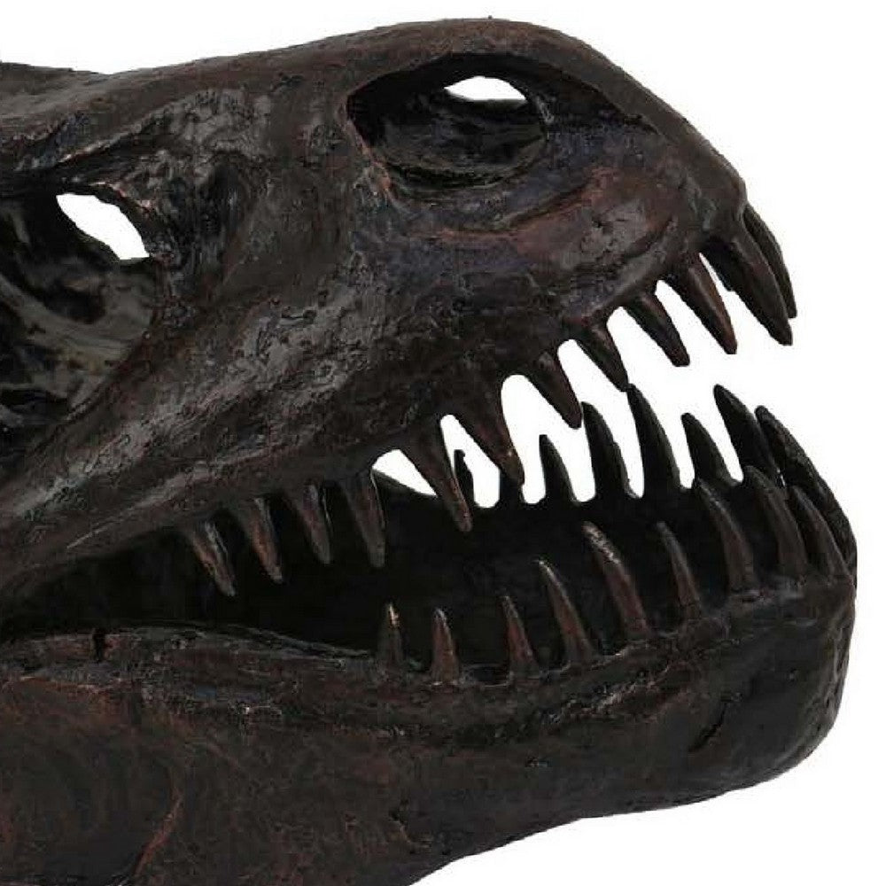 T Rex Skull Decor, Fossil Inspired Dark Brown and Black Resin, 13 Inch -BM335015