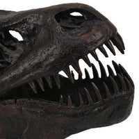 T Rex Skull Decor, Fossil Inspired Dark Brown and Black Resin, 13 Inch -BM335015