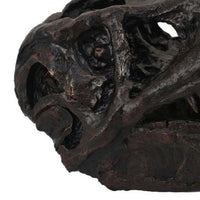 T Rex Skull Decor, Fossil Inspired Dark Brown and Black Resin, 13 Inch -BM335015