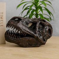 T Rex Skull Decor, Fossil Inspired Dark Brown and Black Resin, 13 Inch -BM335015