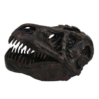 T Rex Skull Decor, Fossil Inspired Dark Brown and Black Resin, 13 Inch -BM335015