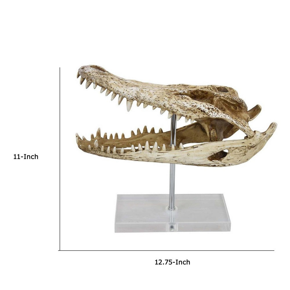 Crocodile Head Accent Decor, Bone White, Brown Resin, Acrylic 13 Inch -BM335016
