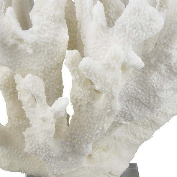 Manala Coral Sculpture with Clear Acrylic Base, White Resin 12 Inch -BM335027