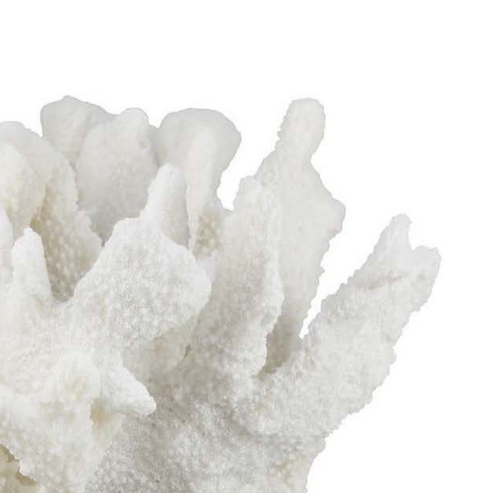 Manala Coral Sculpture with Clear Acrylic Base, White Resin 12 Inch -BM335027