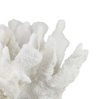Manala Coral Sculpture with Clear Acrylic Base, White Resin 12 Inch -BM335027