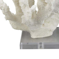 Manala Coral Sculpture with Clear Acrylic Base, White Resin 12 Inch -BM335027
