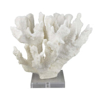 Manala Coral Sculpture with Clear Acrylic Base, White Resin 12 Inch -BM335027