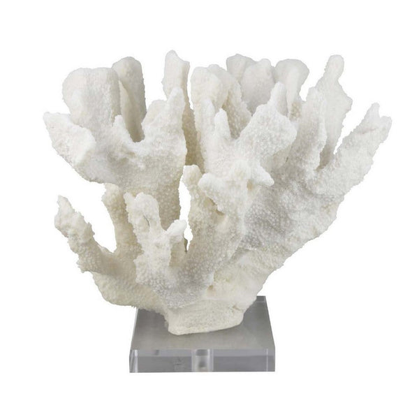 Manala Coral Sculpture with Clear Acrylic Base, White Resin 12 Inch -BM335027