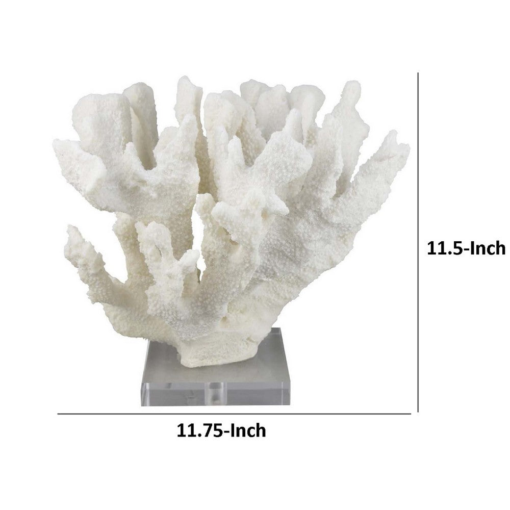 Manala Coral Sculpture with Clear Acrylic Base, White Resin 12 Inch -BM335027