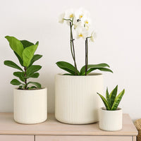 Elly Round Planter Set of 3, Vertical White Resin 18, 13, 9 Inch -BM335037