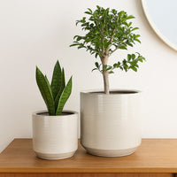 Gloria Round Planter Set of 2, Textured White Ceramic 15 14 Inch -BM335043