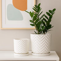Camie Planter Set of 2, Saucers, Chevron Wave Patterns, White Ceramic -BM335057