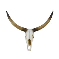 Kriya Sculpture, Longhorn Bull Skull Curved Horns, White Resin 19 Inch -BM335065