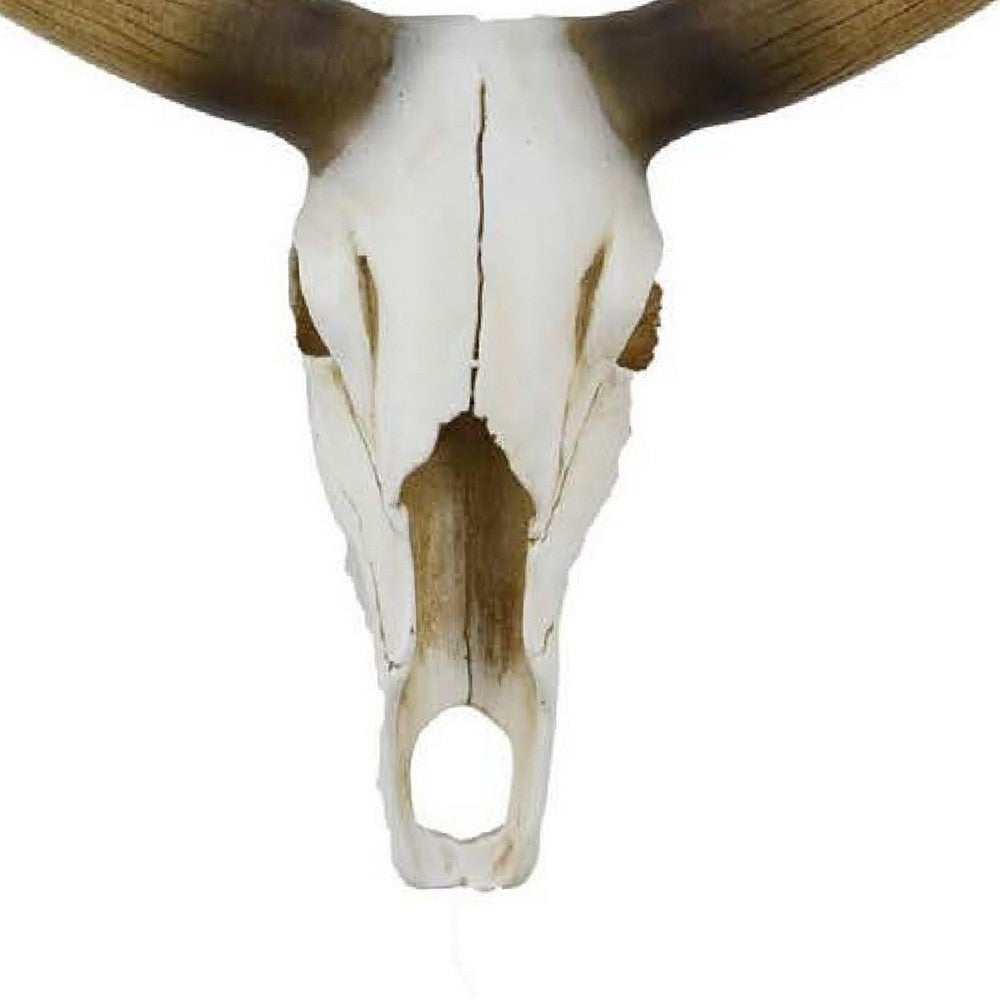 Kriya Sculpture, Longhorn Bull Skull Curved Horns, White Resin 19 Inch -BM335065