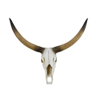 Kriya Sculpture, Longhorn Bull Skull Curved Horns, White Resin 19 Inch -BM335065