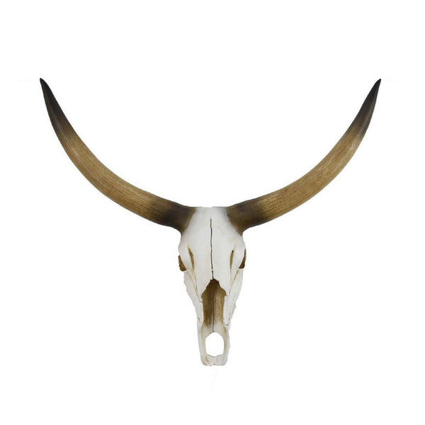 Kriya Sculpture, Longhorn Bull Skull Curved Horns, White Resin 19 Inch -BM335065