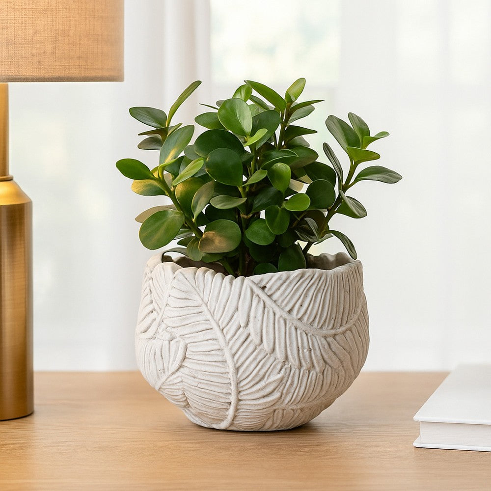 Sicily Accent Planter with Leaf Embossed Surface, Flared Gray Resin -BM335083
