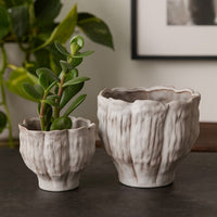 Maria Accent Planter Set of 2, Scalloped Rim, Gray Textured Ceramic -BM335106