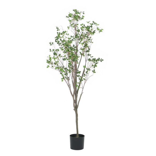 Deso Artificial Milan Leaf Bonsai, Rich Green Oval Leaves 71 Inch -BM335130