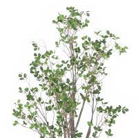Deso Artificial Milan Leaf Bonsai, Rich Green Oval Leaves 71 Inch -BM335130