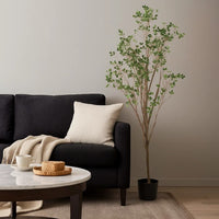 Deso Artificial Milan Leaf Bonsai, Rich Green Oval Leaves 71 Inch -BM335130