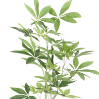 Leso Artificial Macrocarpa Plant, Hand Shaped Green Leaves 47 Inch  -BM335140