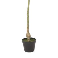 Leso Artificial Macrocarpa Plant, Hand Shaped Green Leaves 47 Inch  -BM335140