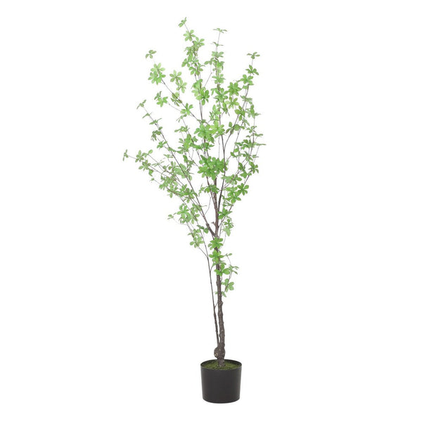 Yuri 59 Inch Artificial Enkianthus Tree, Pre Potted, Brown Green White -BM335239