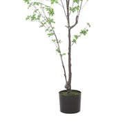 Yuri 59 Inch Artificial Enkianthus Tree, Pre Potted, Brown Green White -BM335239